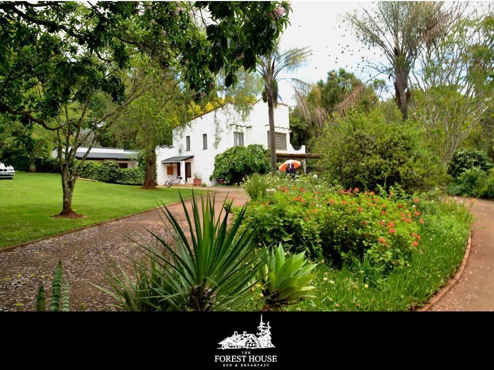 °HOTEL FOREST HOUSE B&B HARDING (Sudáfrica) | HOTELMIX